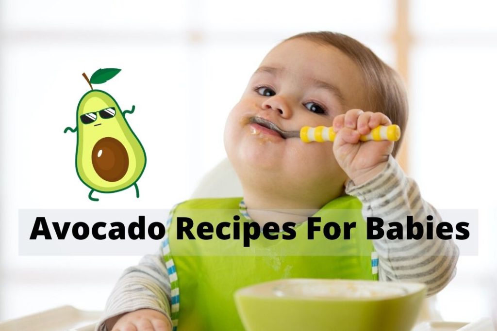 Avocado recipes for babies