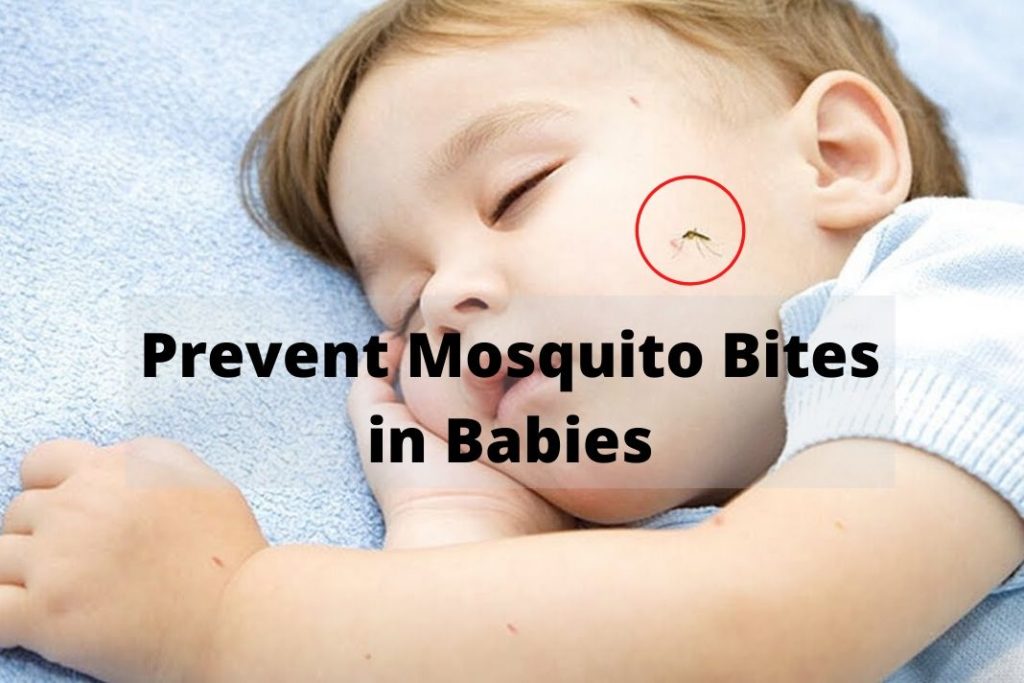 prevent mosquito bites in babies