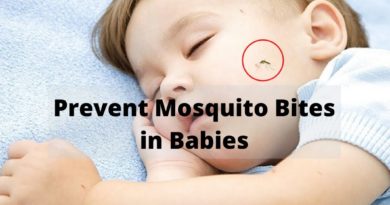 prevent mosquito bites in babies