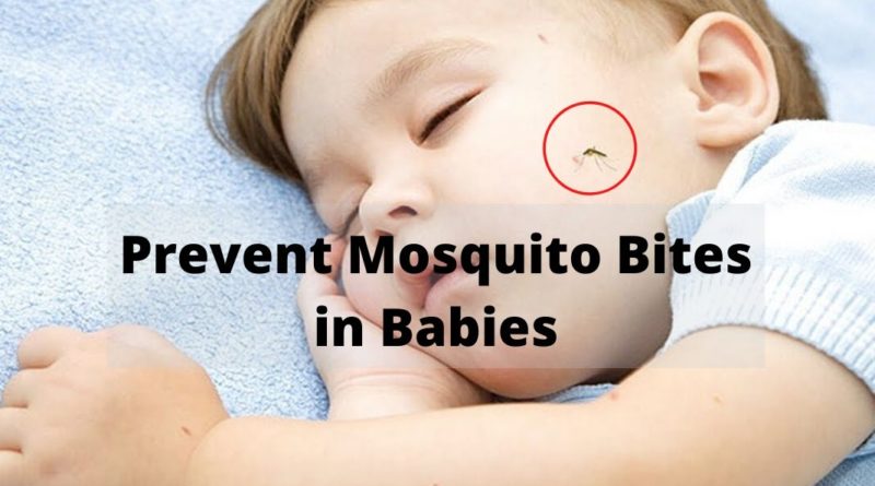 prevent mosquito bites in babies