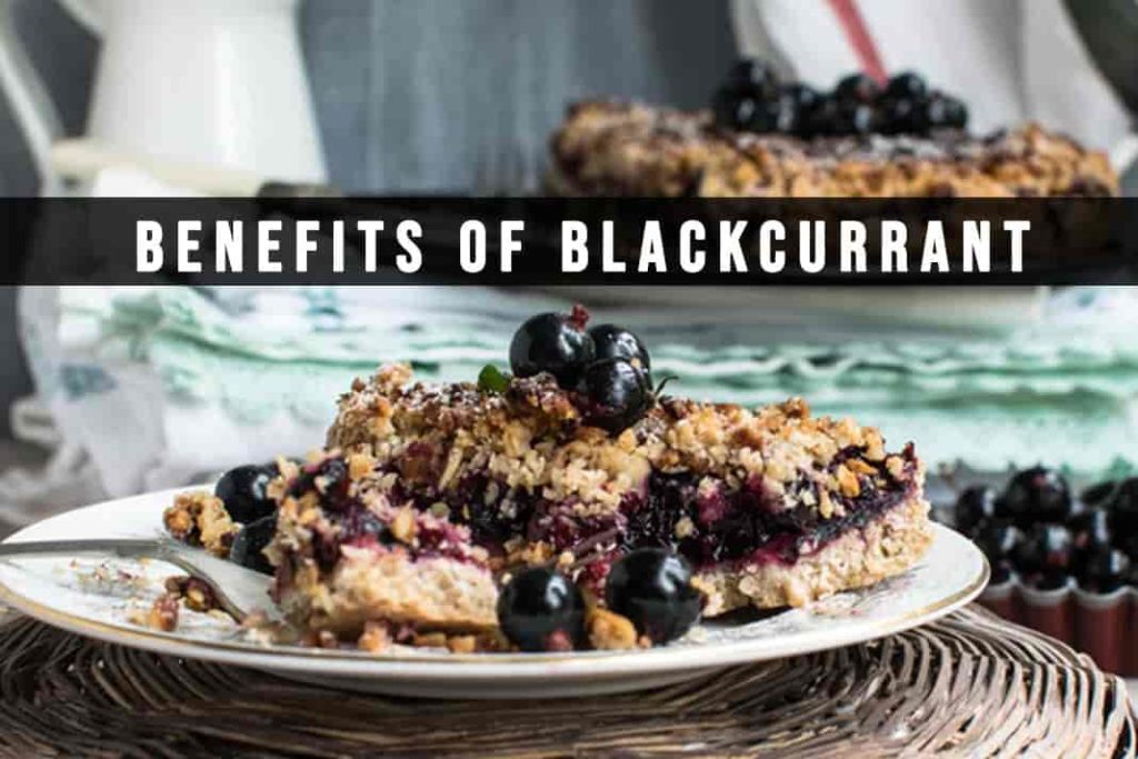 black currant benefits