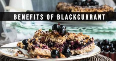 black currant benefits