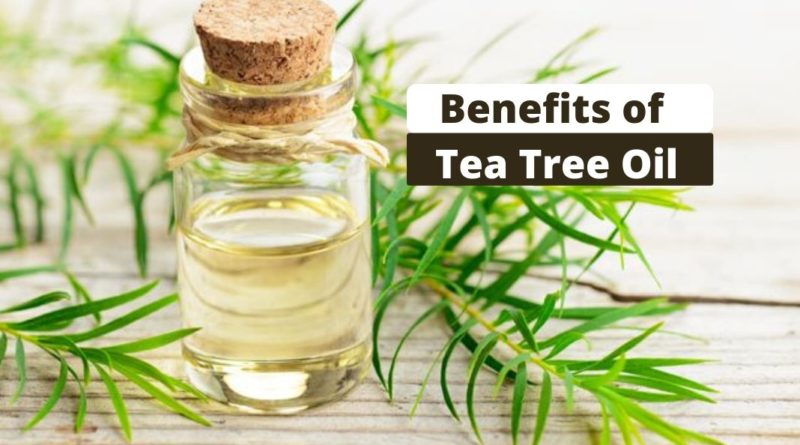 Benefits of Tea Tree Oil