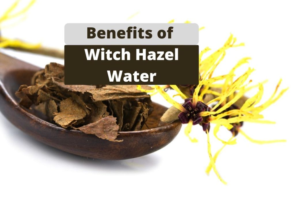 Benefits of Witch Hazel Water