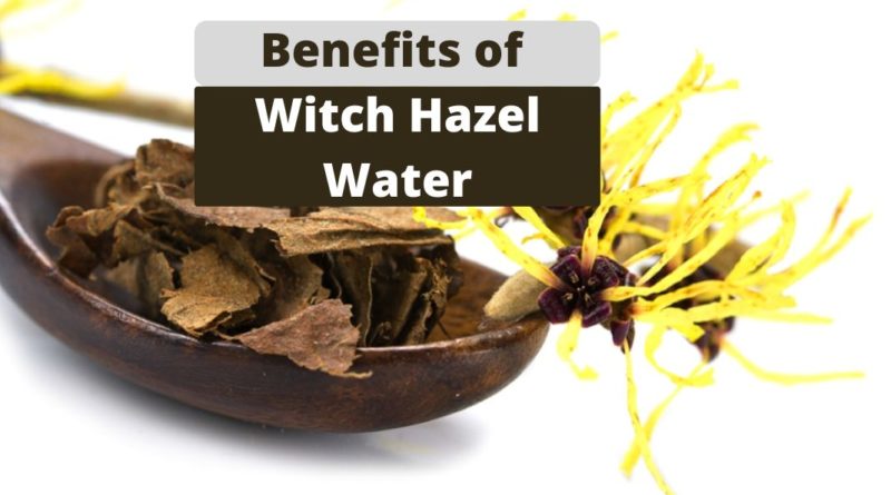 Benefits of Witch Hazel Water