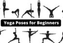 Yoga Poses for Beginners