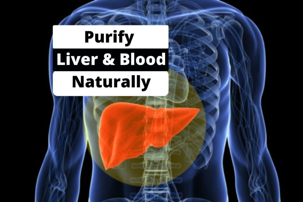 purify Liver and Blood Naturally