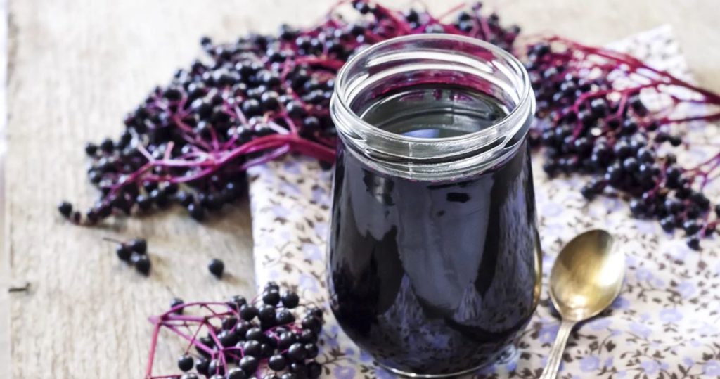 Elderberry