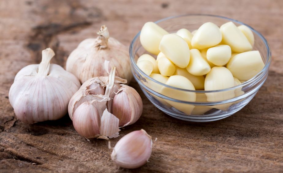 Garlic