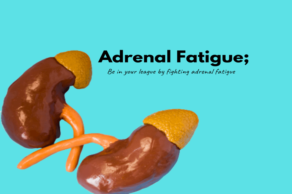 Adrenal Fatigue