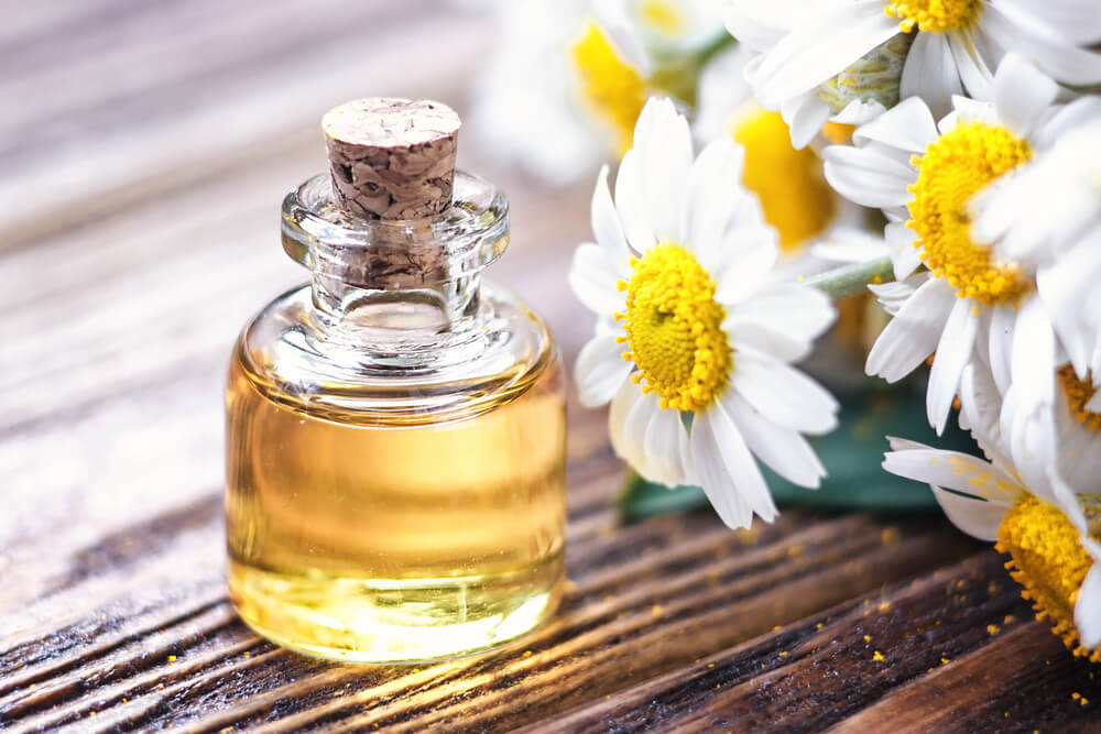 Chamomile Oil -1