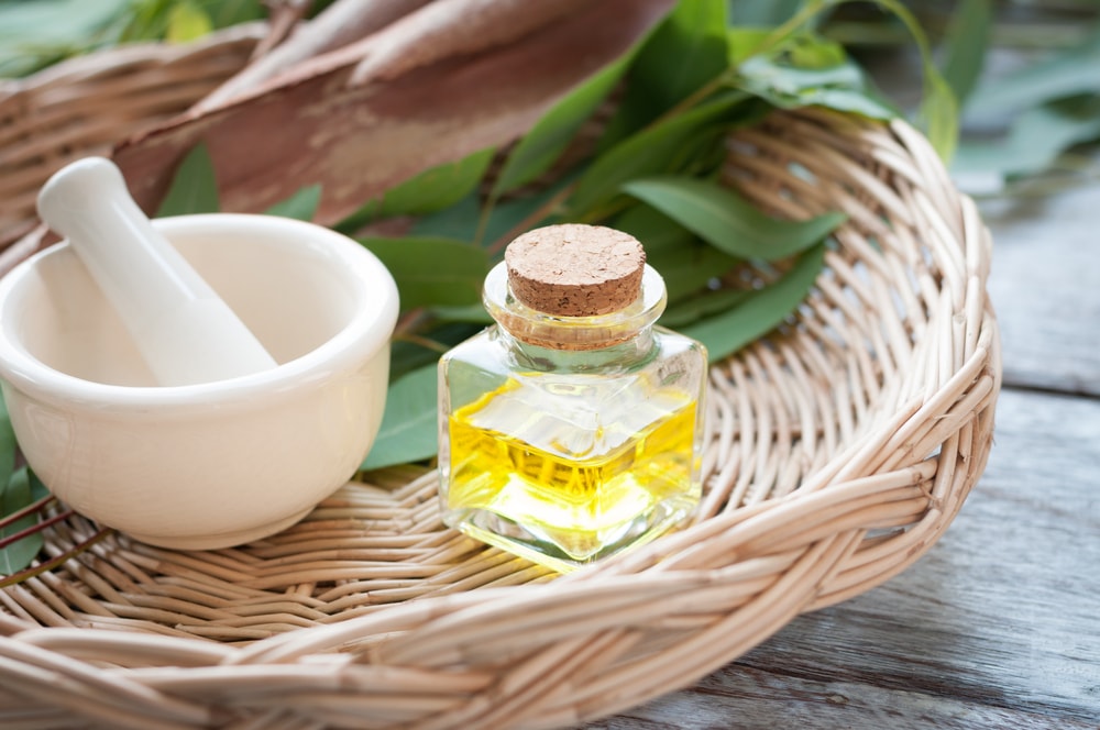 Eucalyptus oil min