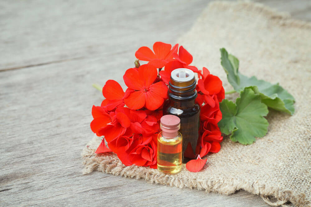 Geranium Essential Oil