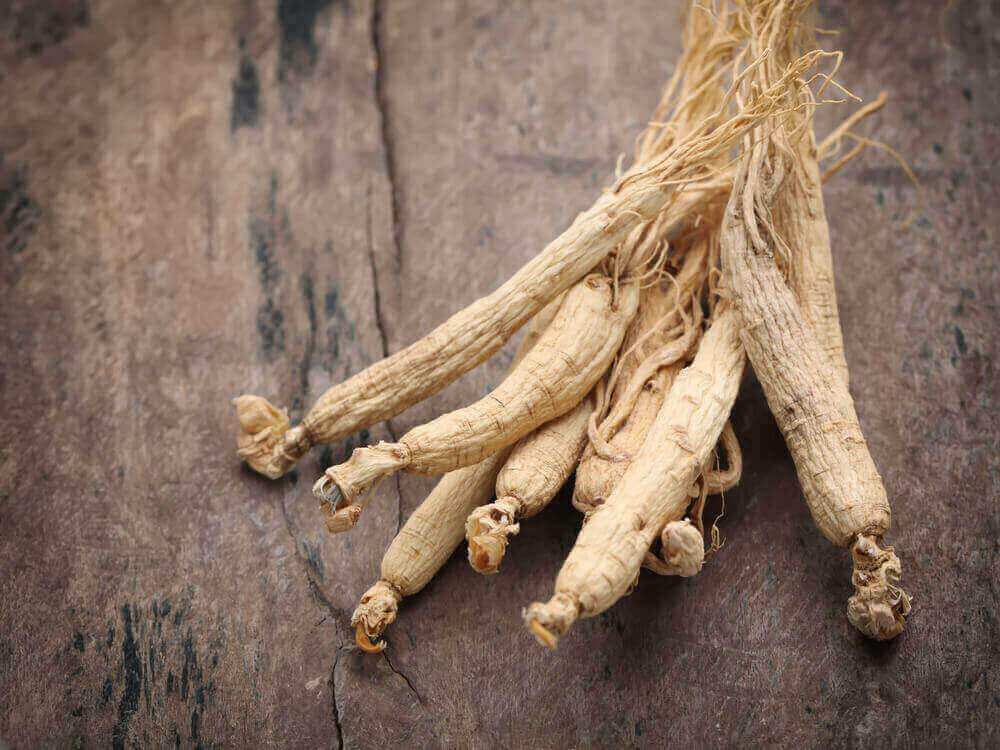 Ginseng