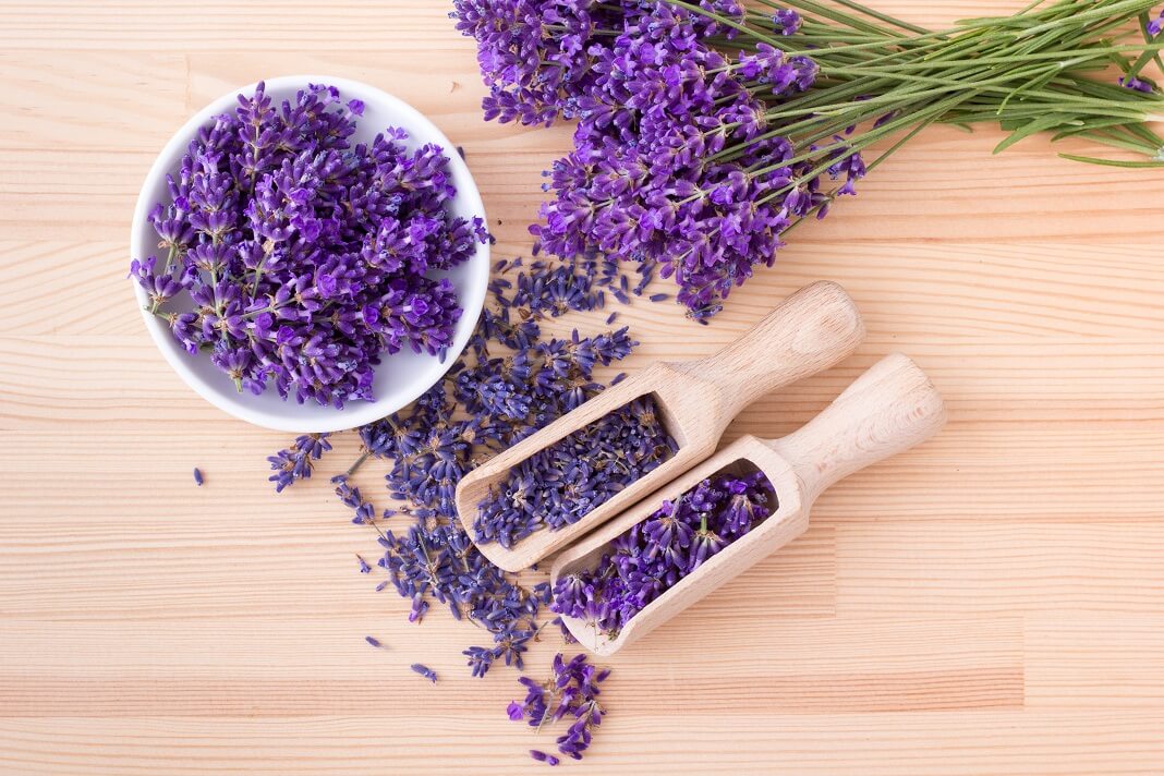 Lavender for hair growth