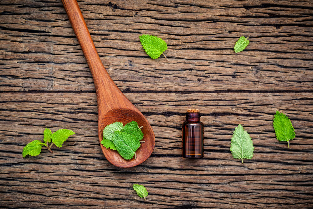 Lemon Balm Oil