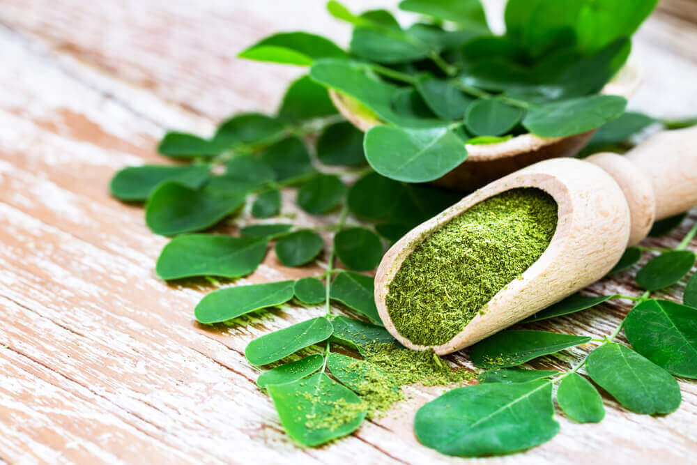 Moringa Powder