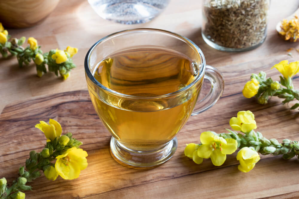 Mullein Tea