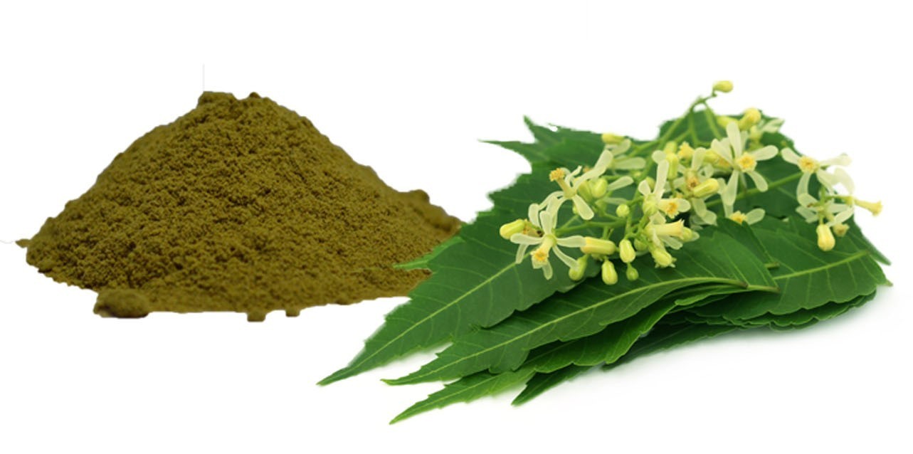 Neem Extract