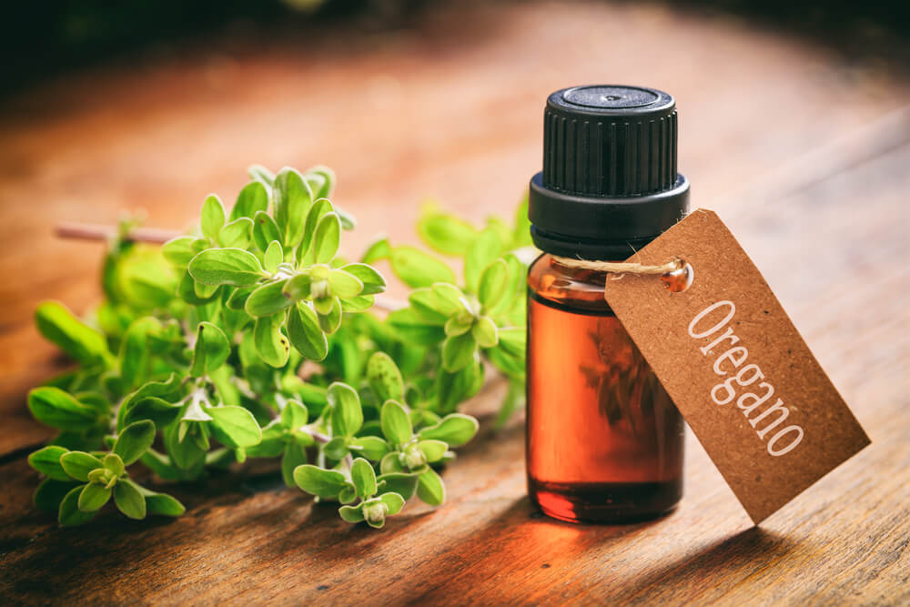 Oregano Oil