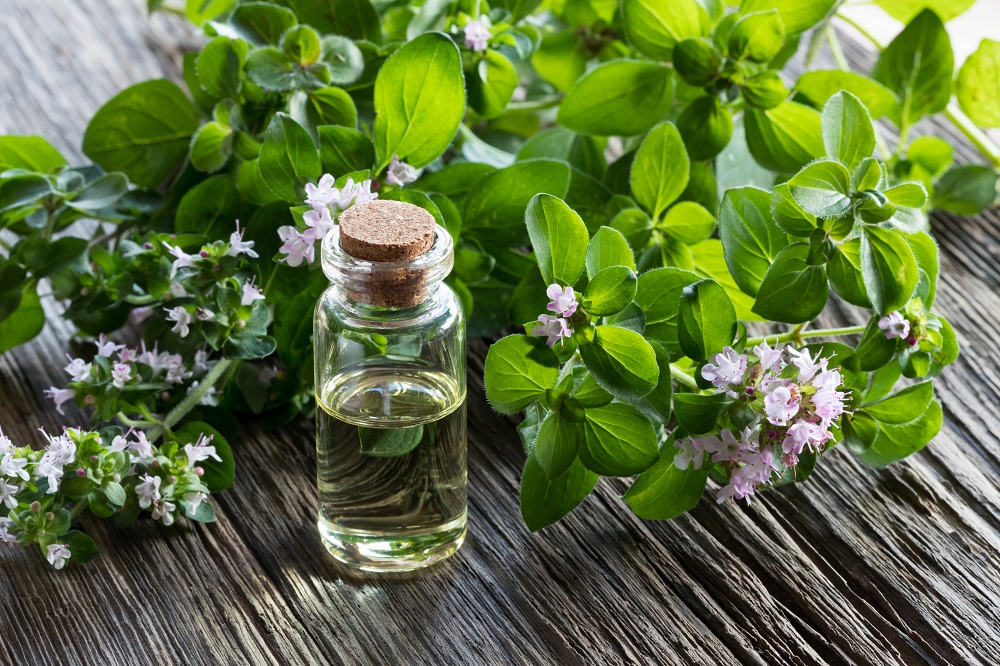 Oregano essential oil