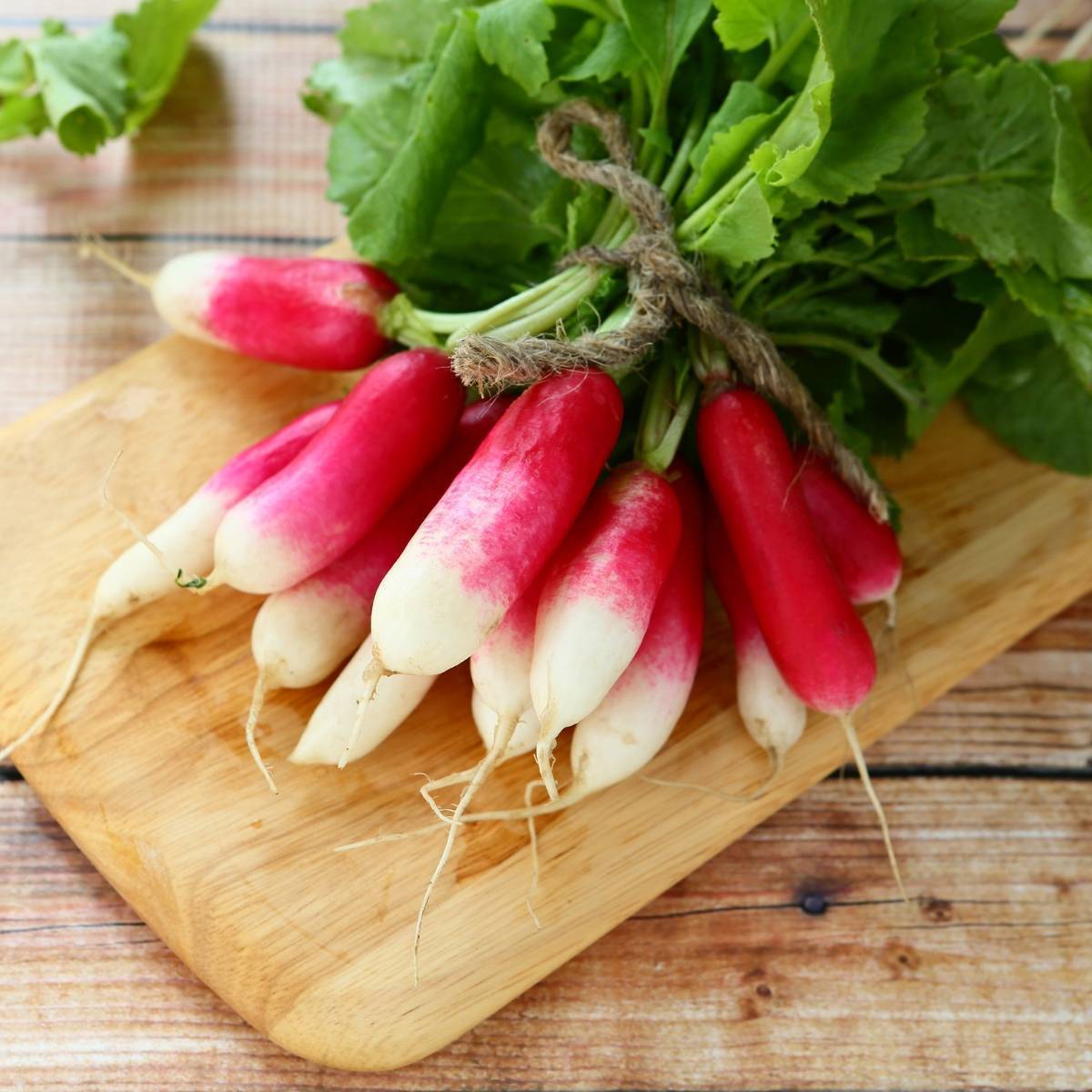 Radish