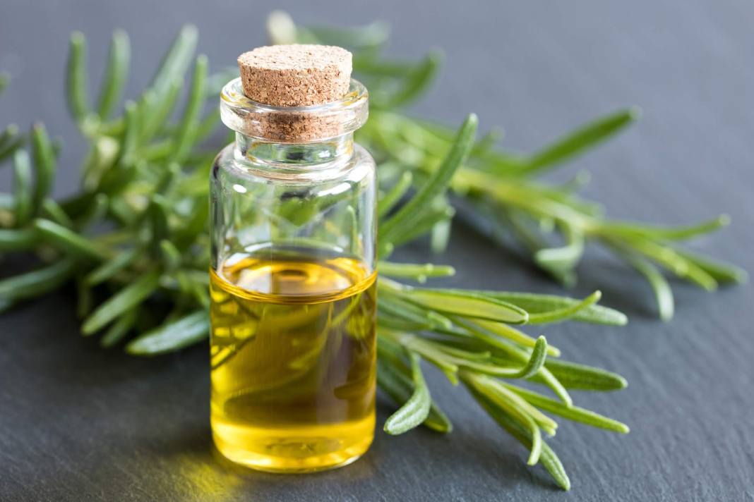 Rosemary Oil