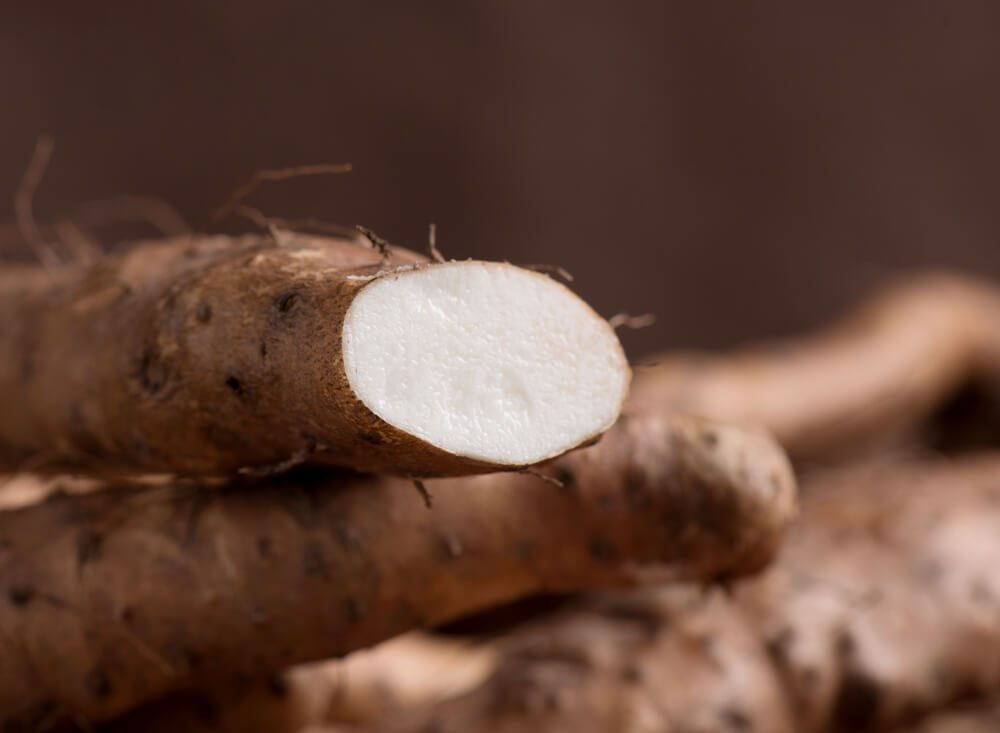 Wild Yam