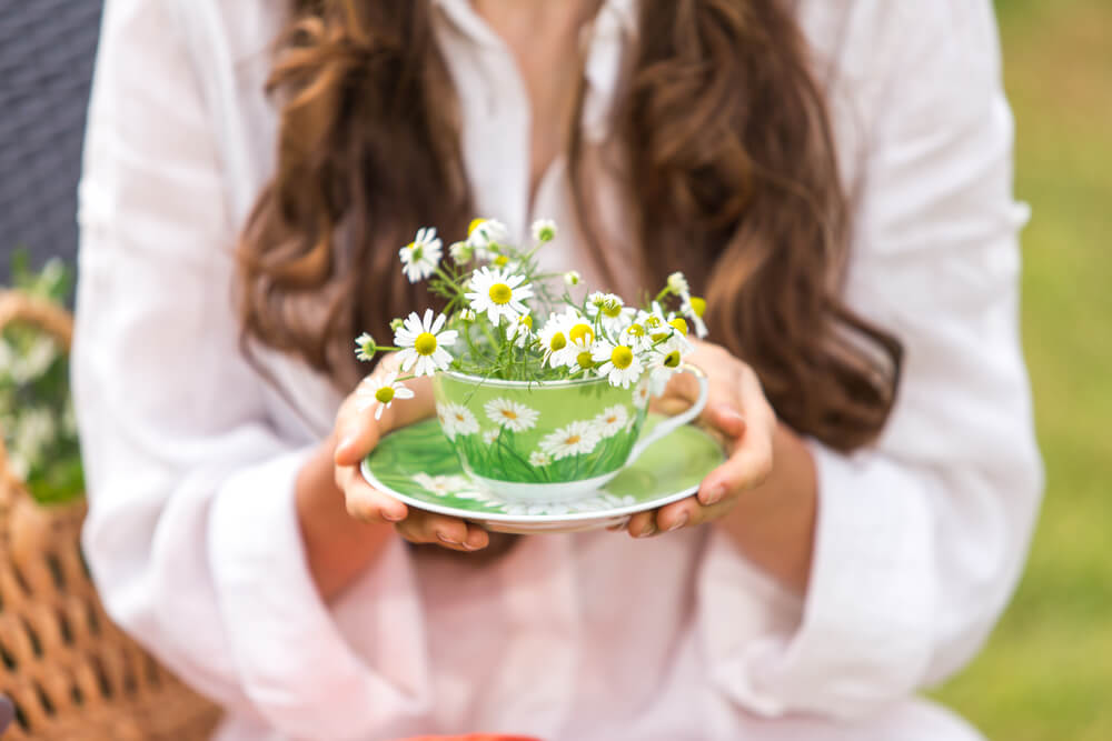 chamomile tea benefits