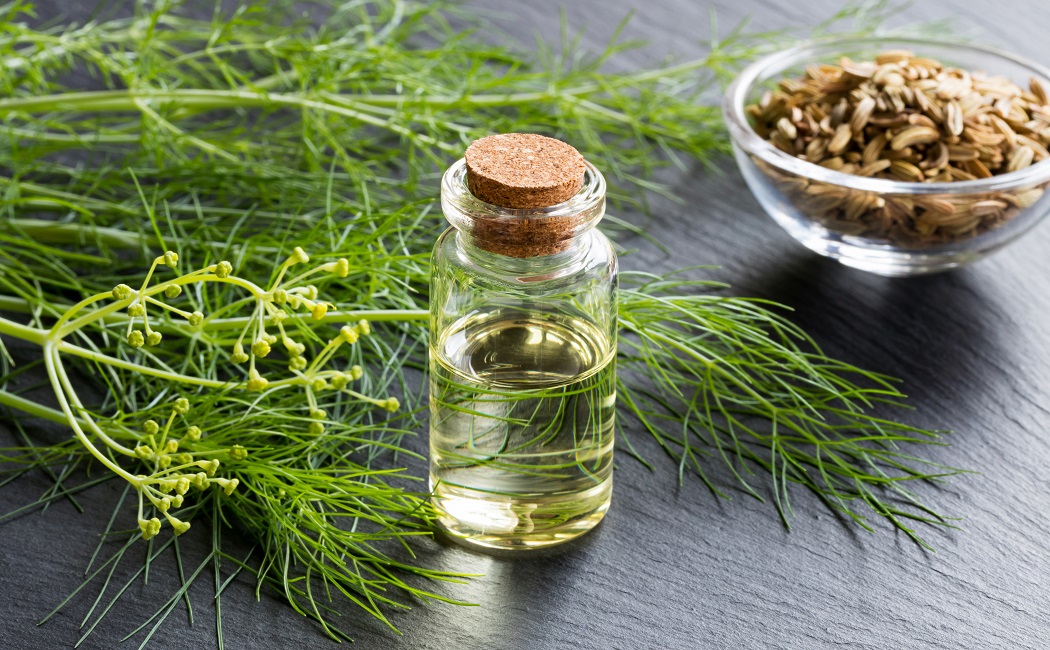 Fennel Oil