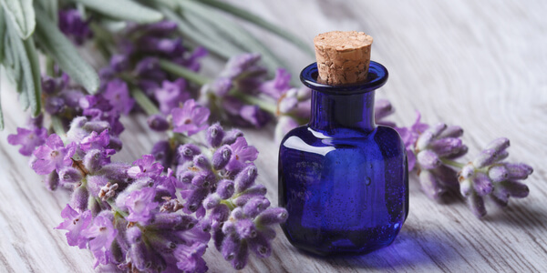 Lavender Oil