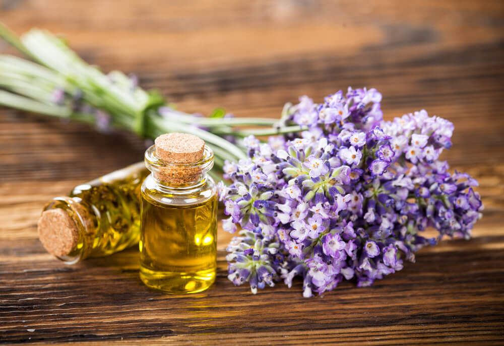 lavender oil