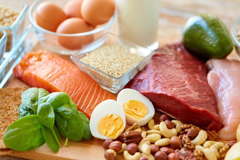 protein rich diet