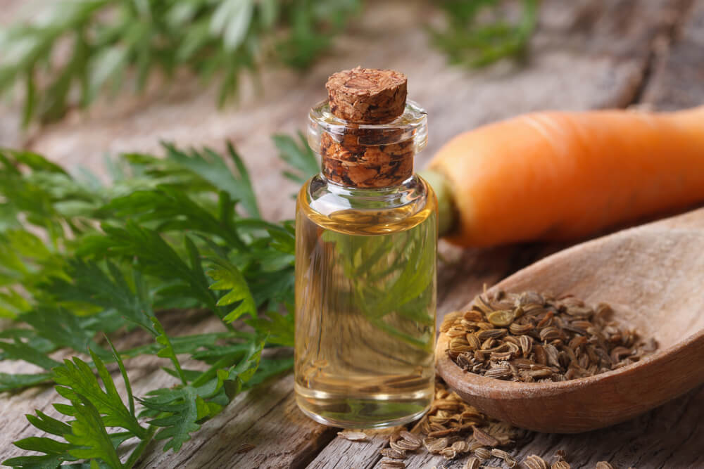 Carrot Seed Oil