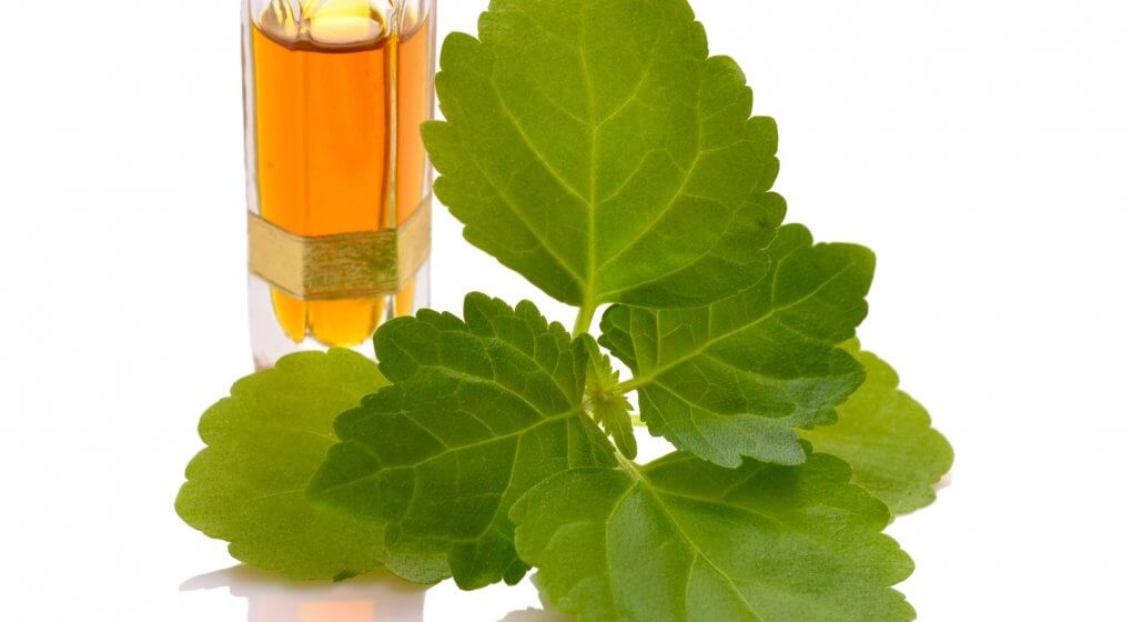 Patchouli Oil