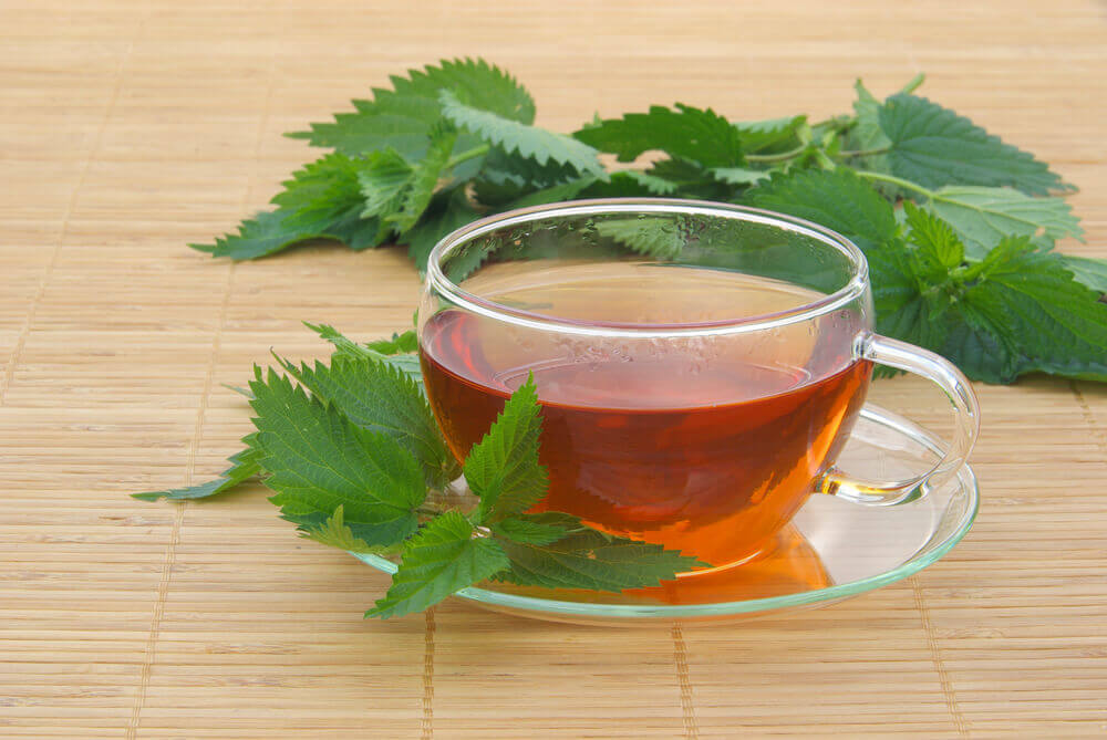 Stinging Nettle Tea