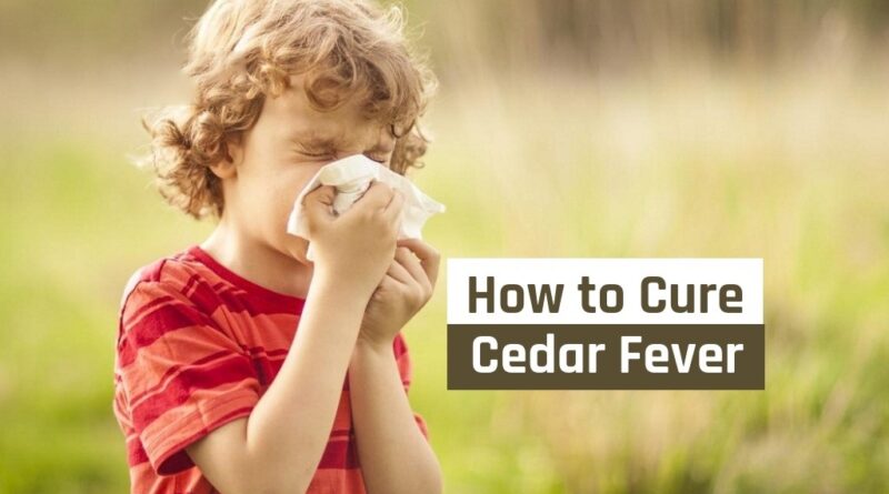 home remedies to cure cedar fever