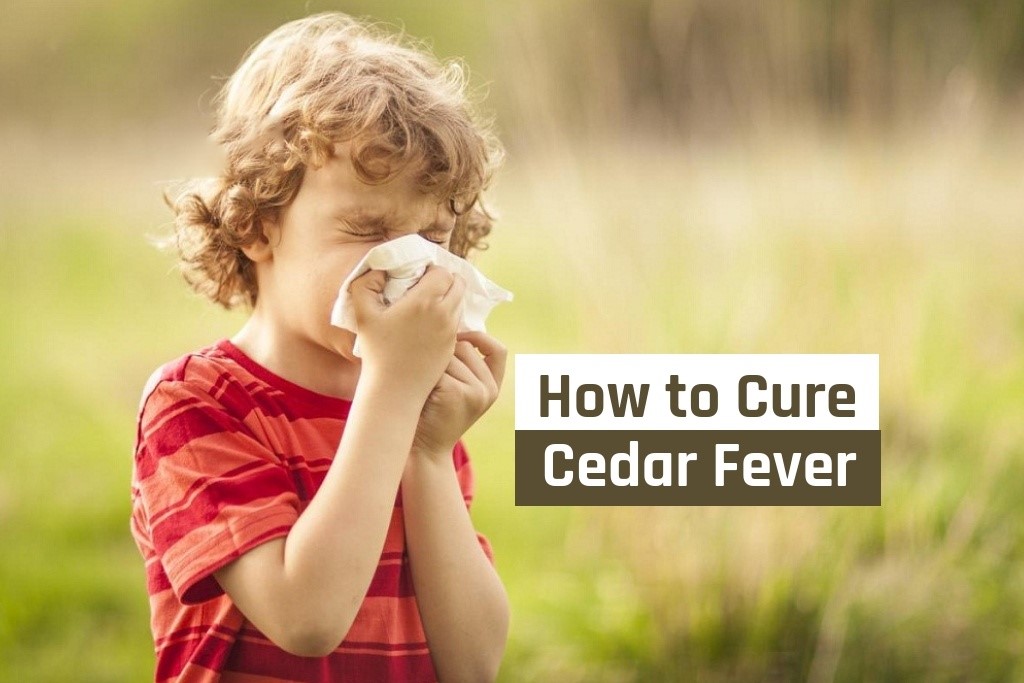 home remedies to cure cedar fever